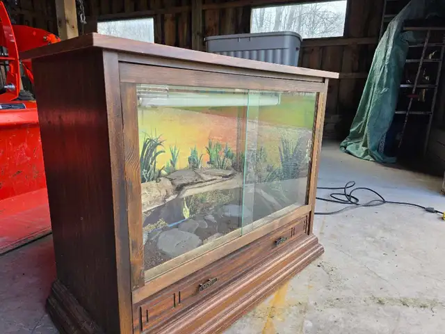 reptile tank - Photo 3
