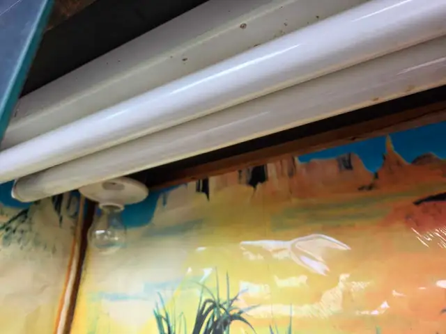 reptile tank - Photo 4