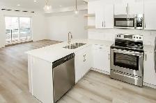 LUXURY 2 Bedroom Apartment! With Fitness Centre! - Photo 8