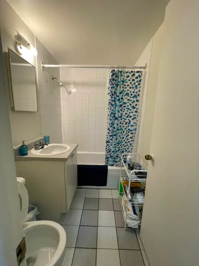 NDG (Loyola) - 3½ HEATING HOT WATER PARKING INCLUDED! - Photo 6