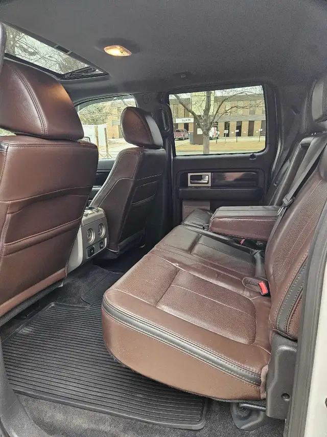 2011 Ford F-150 Platinum 3.5L V6 EcoBoost - Photo 6