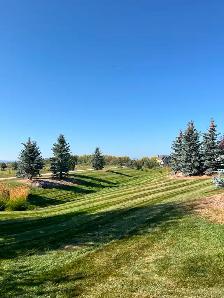Lawn Maintenance Laborer Wanted - Photo 2