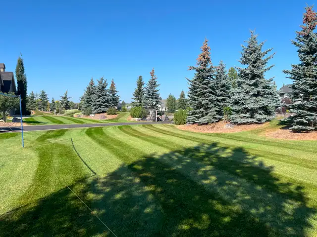 Lawn Maintenance Laborer Wanted - Photo 3