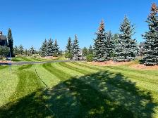 Lawn Maintenance Laborer Wanted - Photo 3