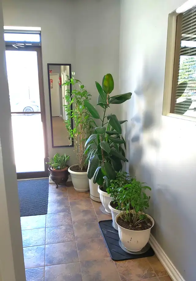 Newly Renovated Office Space for Rent HOT Location TMI Inc. - Photo 4