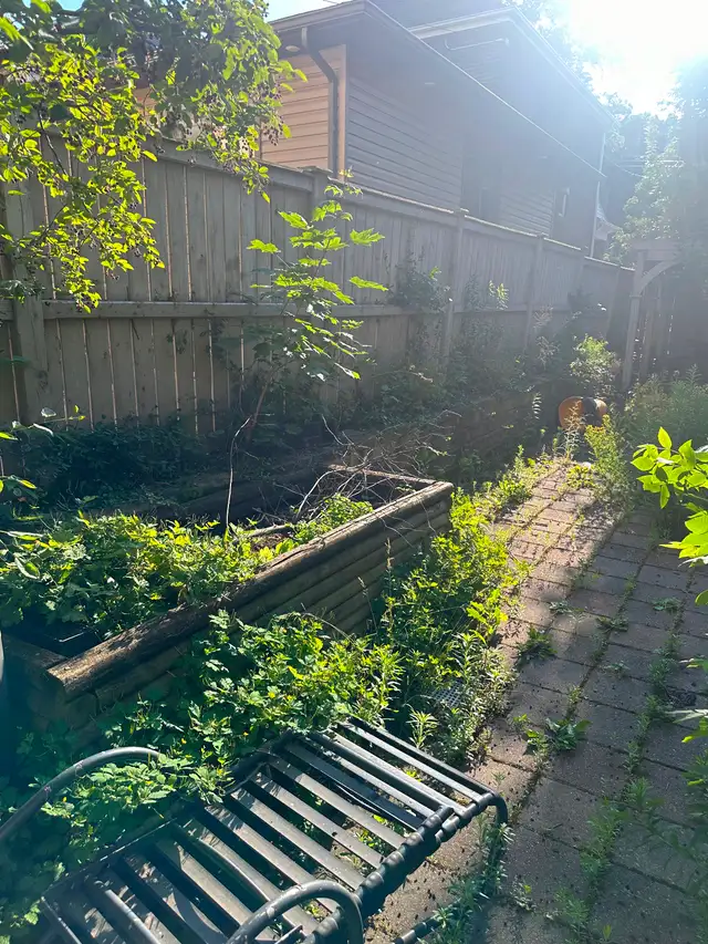 Landscape and junk removal - Photo 4