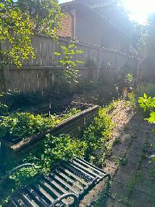 Landscape and junk removal - Photo 4