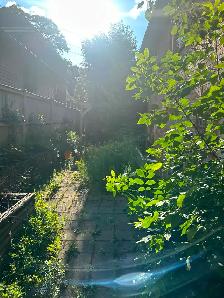 Landscape and junk removal - Photo 5