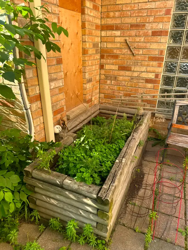 Landscape and junk removal - Photo 6