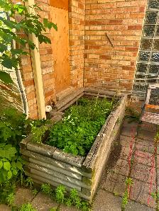 Landscape and junk removal - Photo 6