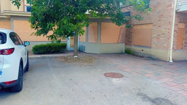 Landscape and junk removal - Photo 7