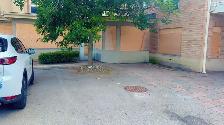 Landscape and junk removal - Photo 7