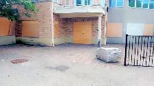 Landscape and junk removal - Photo 8