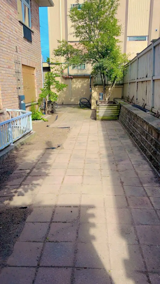 Landscape and junk removal - Photo 9