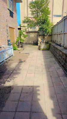 Landscape and junk removal - Photo 9
