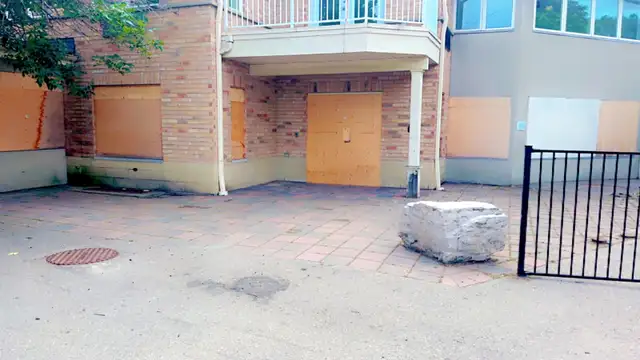 Landscape and junk removal - Photo 10