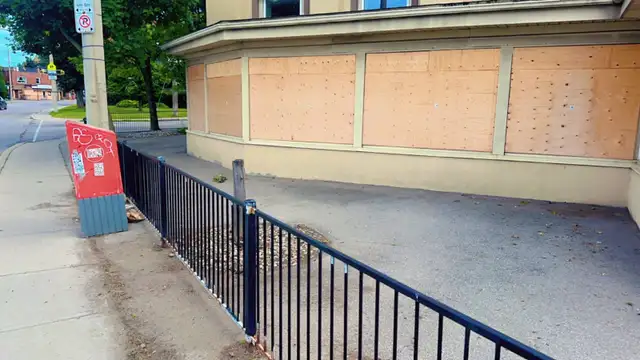 Landscape and junk removal - Photo 11