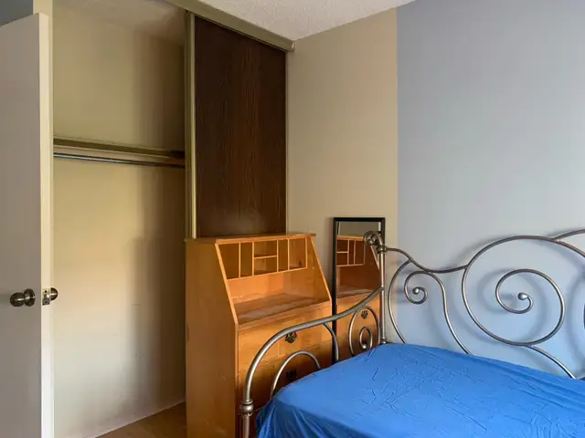 Bright Room near Seneca College - Photo 2