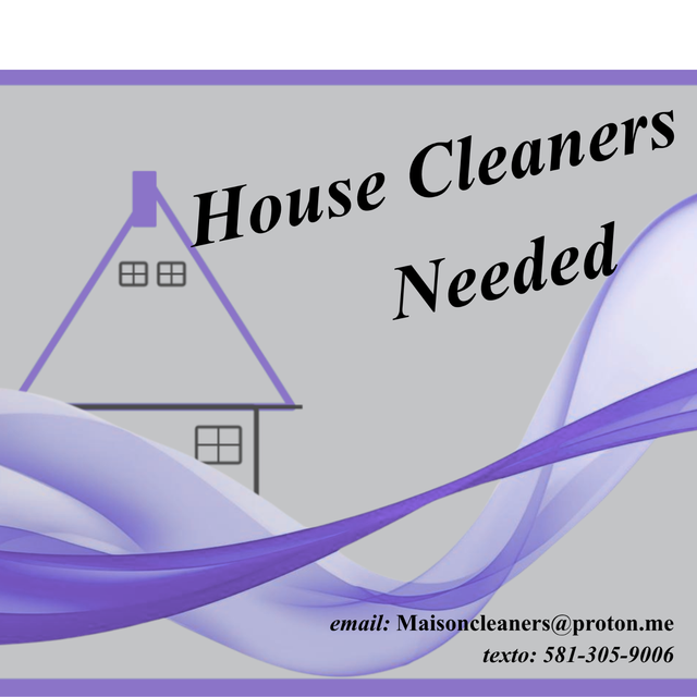 Entretien Menager/House Cleaners Needed/ - Photo 3