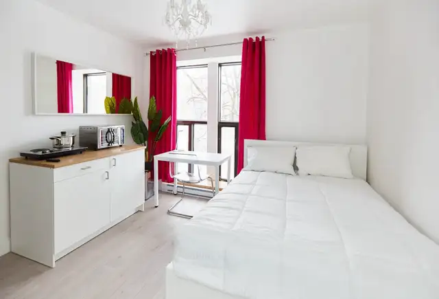 Furnished Studio for Rent  Downtown - Photo 3