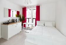 Furnished Studio for Rent  Downtown - Photo 3