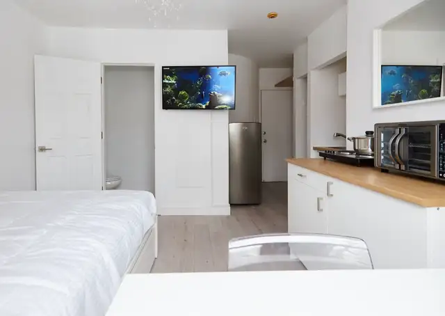 Furnished Studio for Rent  Downtown - Photo 4