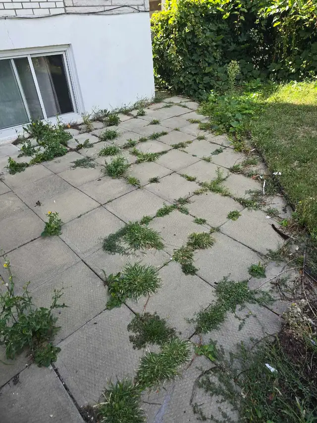 paysagiste DDL - Photo 2