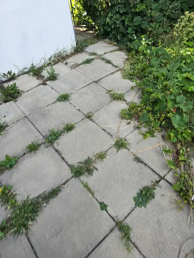 paysagiste DDL - Photo 3