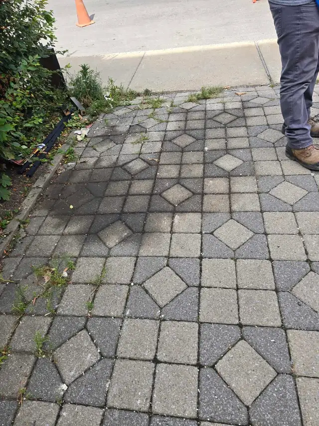 paysagiste DDL - Photo 4