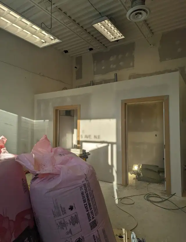 Urgent:  Experienced Carpenter and Painter