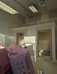 Urgent:  Experienced Carpenter and Painter