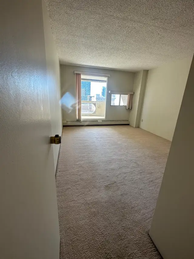 1 Bed   Den Condo - Photo 4