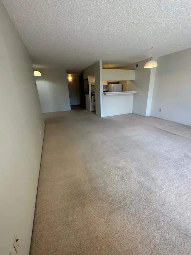 1 Bed   Den Condo - Photo 7