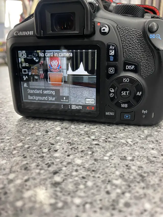 Canon EOS Rebel T6 DSLR Camera - Photo 3