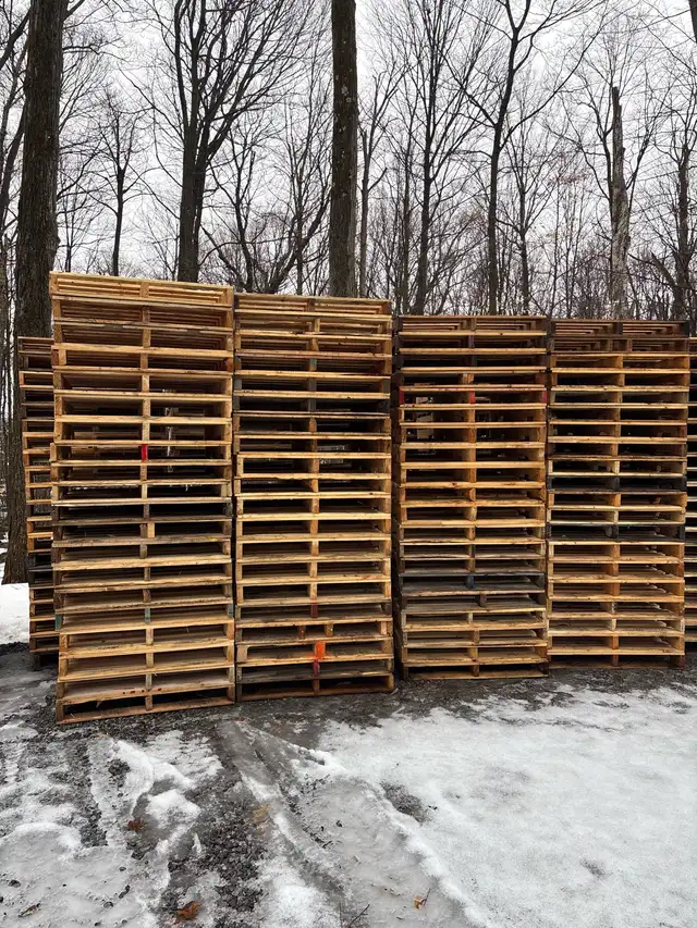 Palettes parfaite - Photo 4