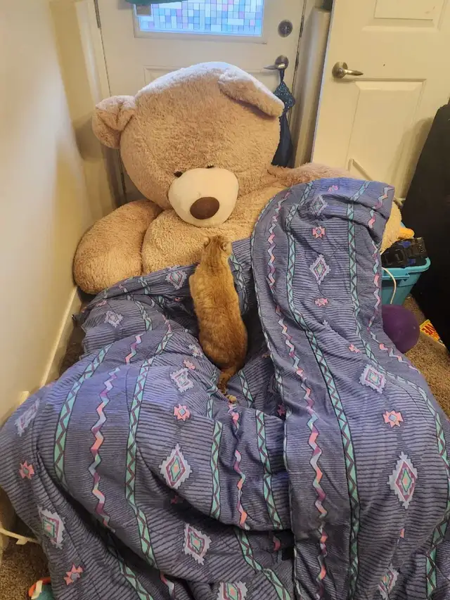 GIANT 8 foot, 200 pound teddy bear - Photo 5