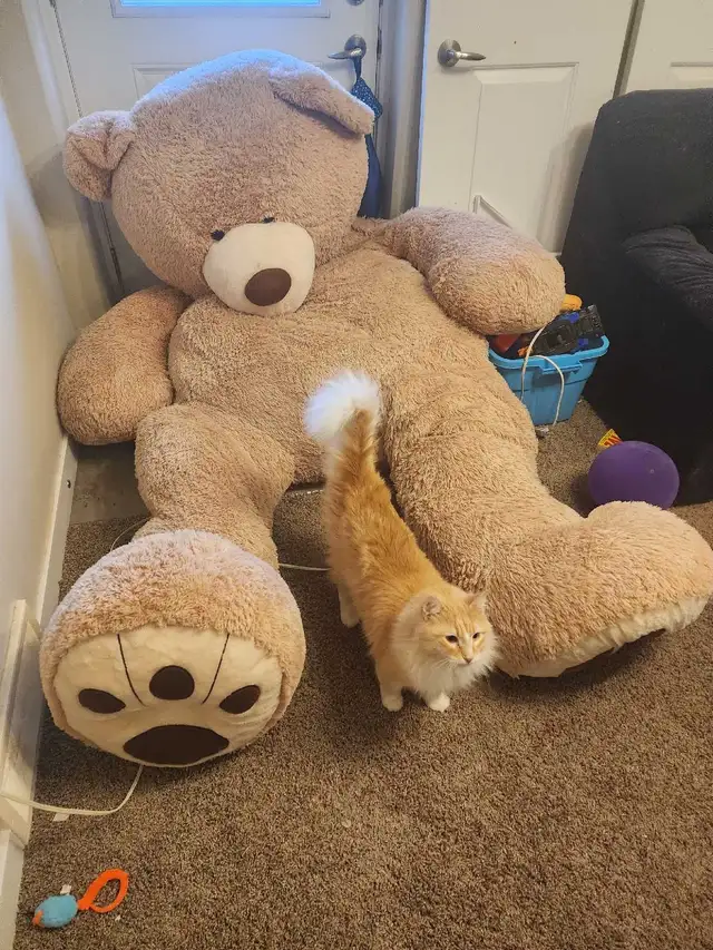 GIANT 8 foot, 200 pound teddy bear - Photo 6