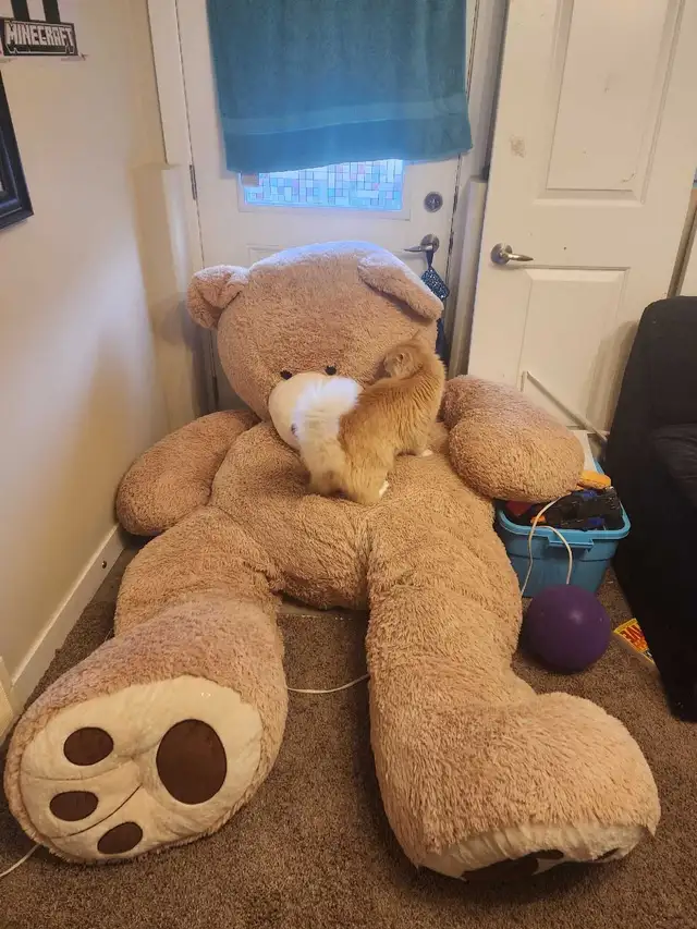 GIANT 8 foot, 200 pound teddy bear - Photo 7