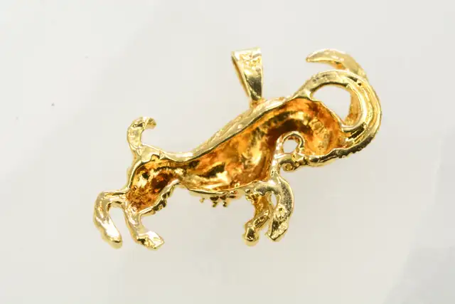 10K RAM PENDANT - Photo 2