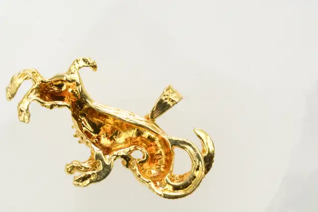 10K RAM PENDANT - Photo 3