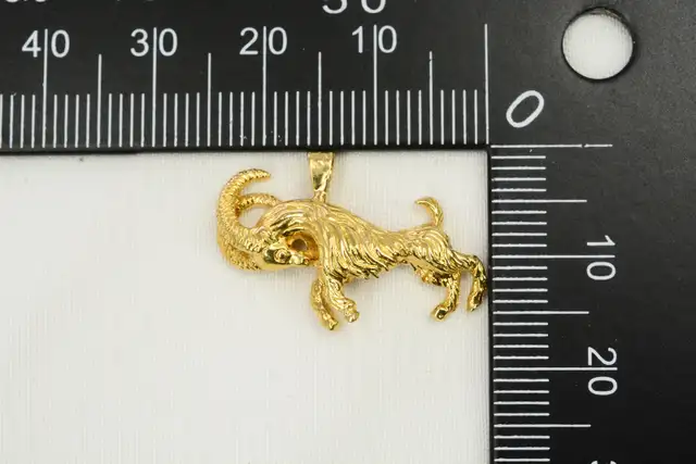10K RAM PENDANT - Photo 5