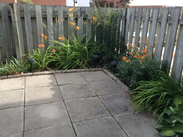 3 Beds,2 Bath,Finished Basement,Appliances,A.C.Garage,Patio,Town - Photo 8