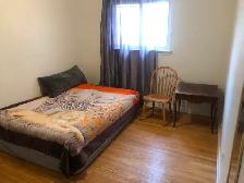 BRIGHT ROOM BASEMENT-50m TO PLAZA STEELES AND BATHURST NEAR BUS