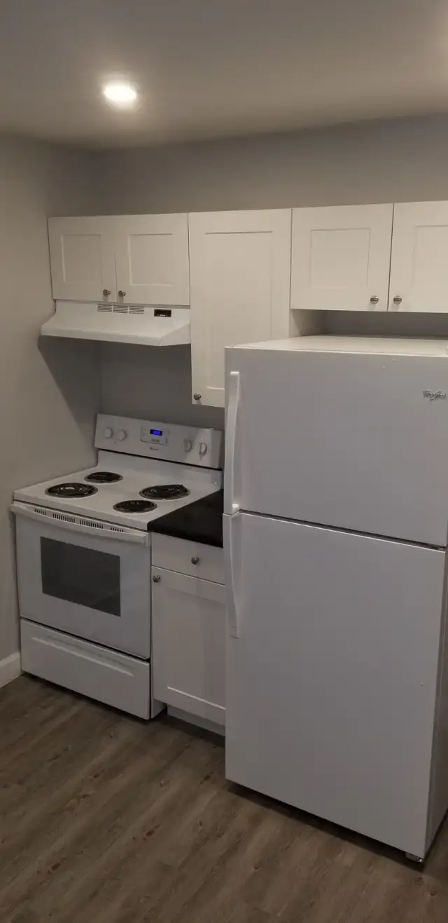 Walk Downtown Main Floor 1-Bedroom Apt. $1295/Month - May 1st - Photo 5