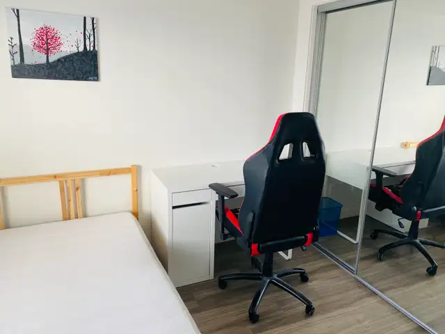 U3 Academy Way 2b2b Room for Rent - Photo 2