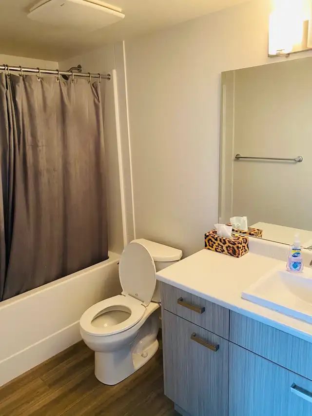 U3 Academy Way 2b2b Room for Rent - Photo 3