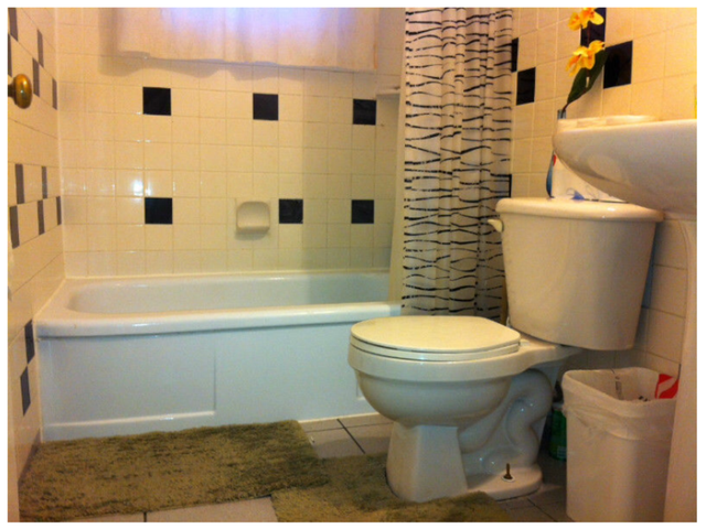 RoomForRent, KingswayMall, RoyalAlex, NAIT, McEwan, DowntownArea - Photo 8