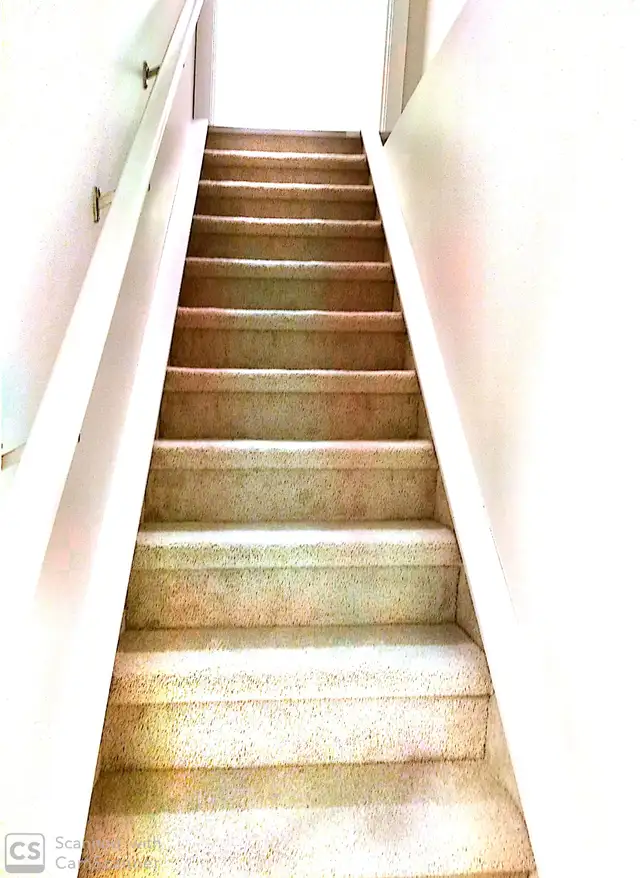 LEGAL BASEMENT AVAILABLE FOR RENT IMMEDIATELY - Photo 7