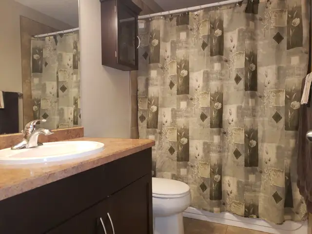 Bright Open Suite in Timberlea - Photo 6