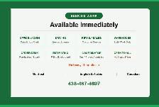 Looking for Work ASAP